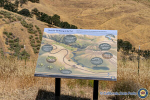 An Interpretive Panel