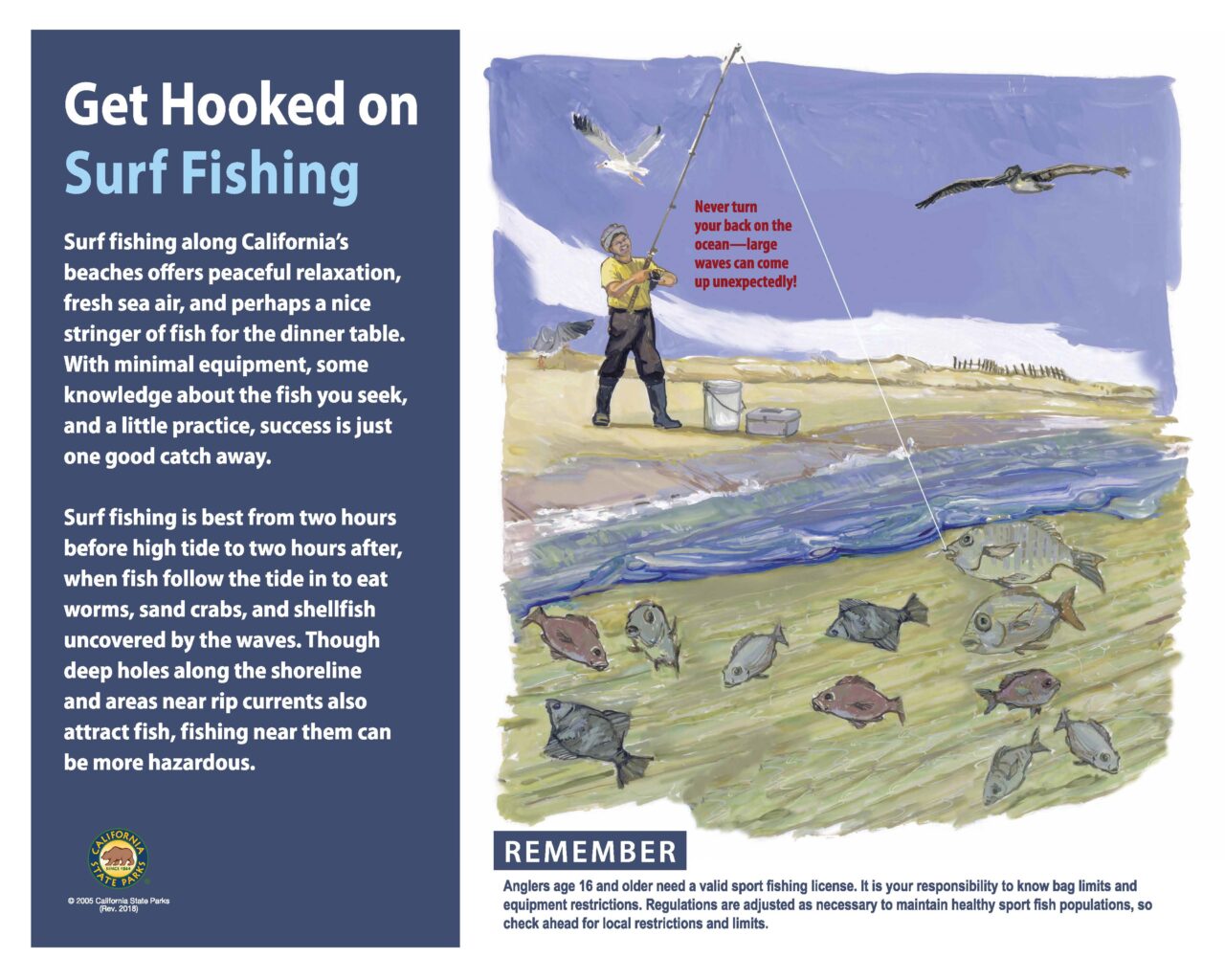 18 SurfFishing32X40LOW2018web