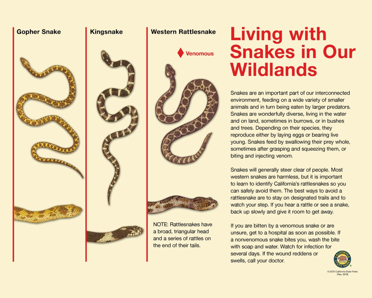 21 Snakes32X40LOW2019
