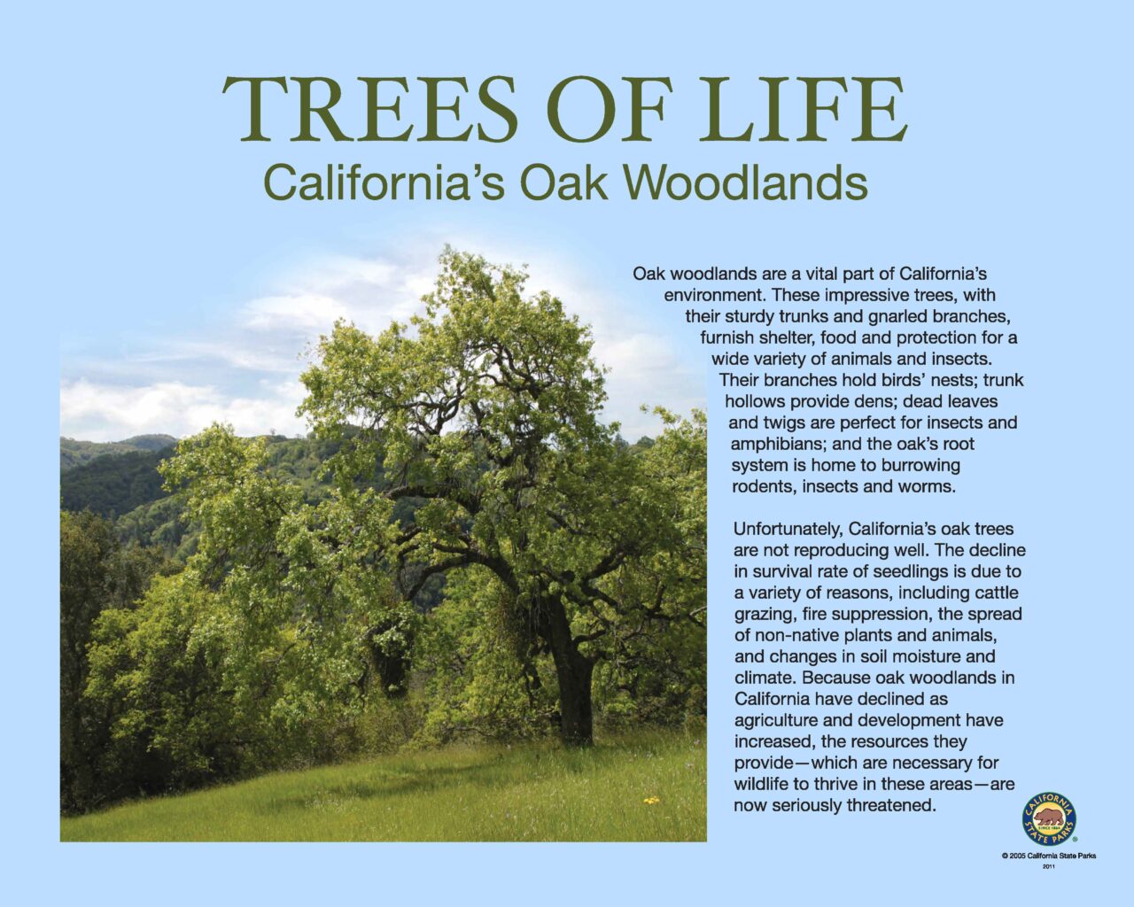 27 Oak Woodlands 32×40 LOW2018
