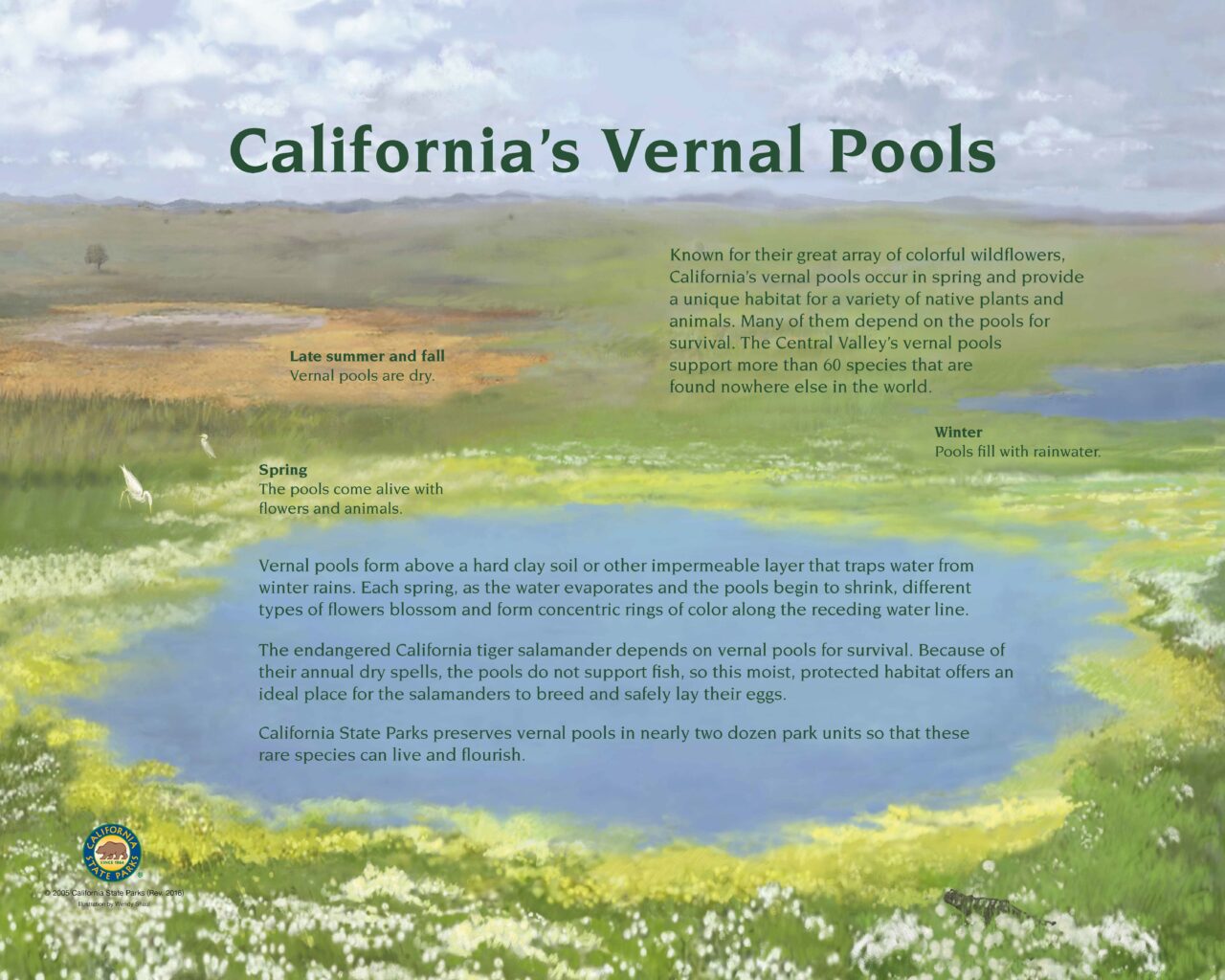 31 Vernal Pools 32X40 LOWRES2016