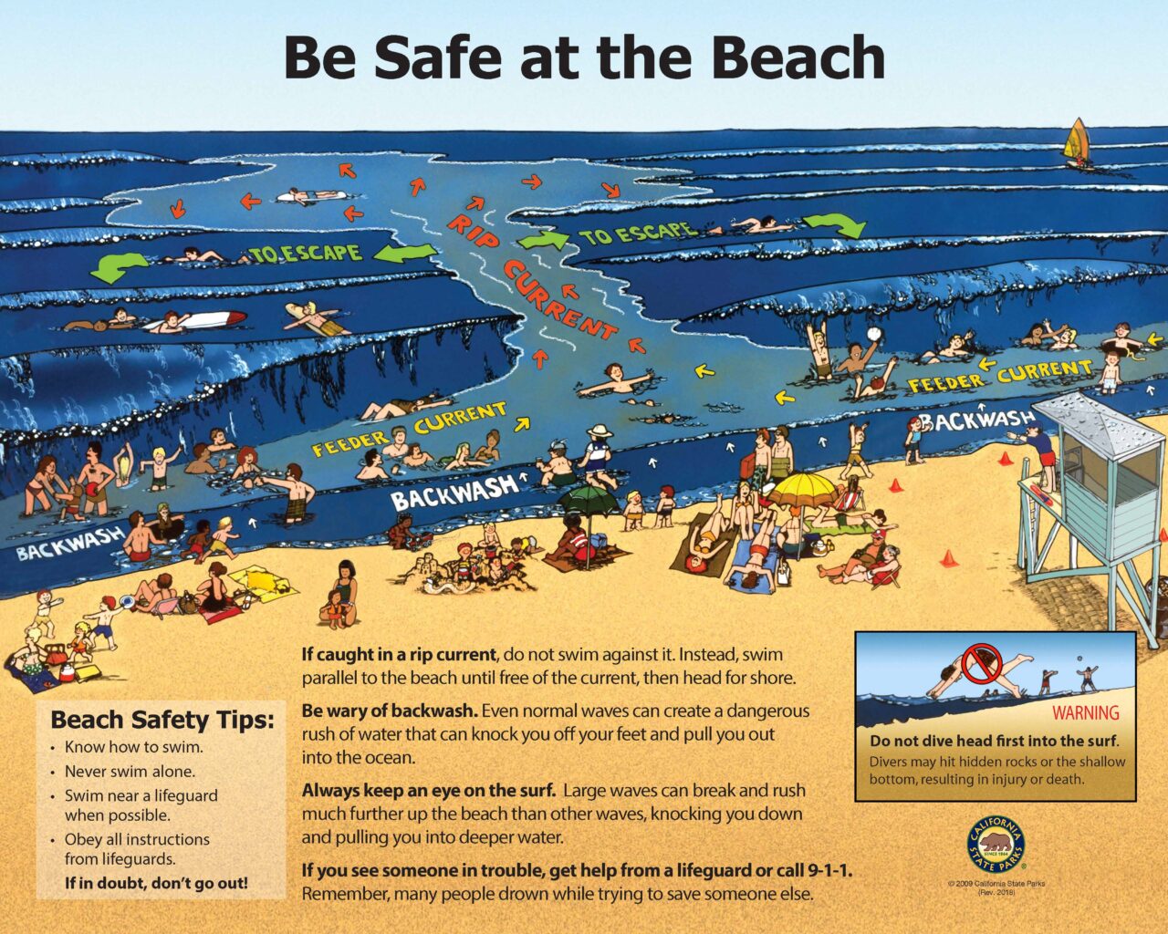 32 BeachSafetyLG32x40Low2018