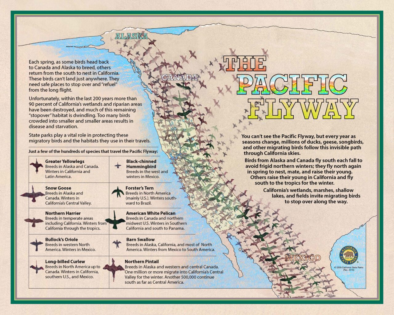 33 PacificFlyway32X40LOW2019