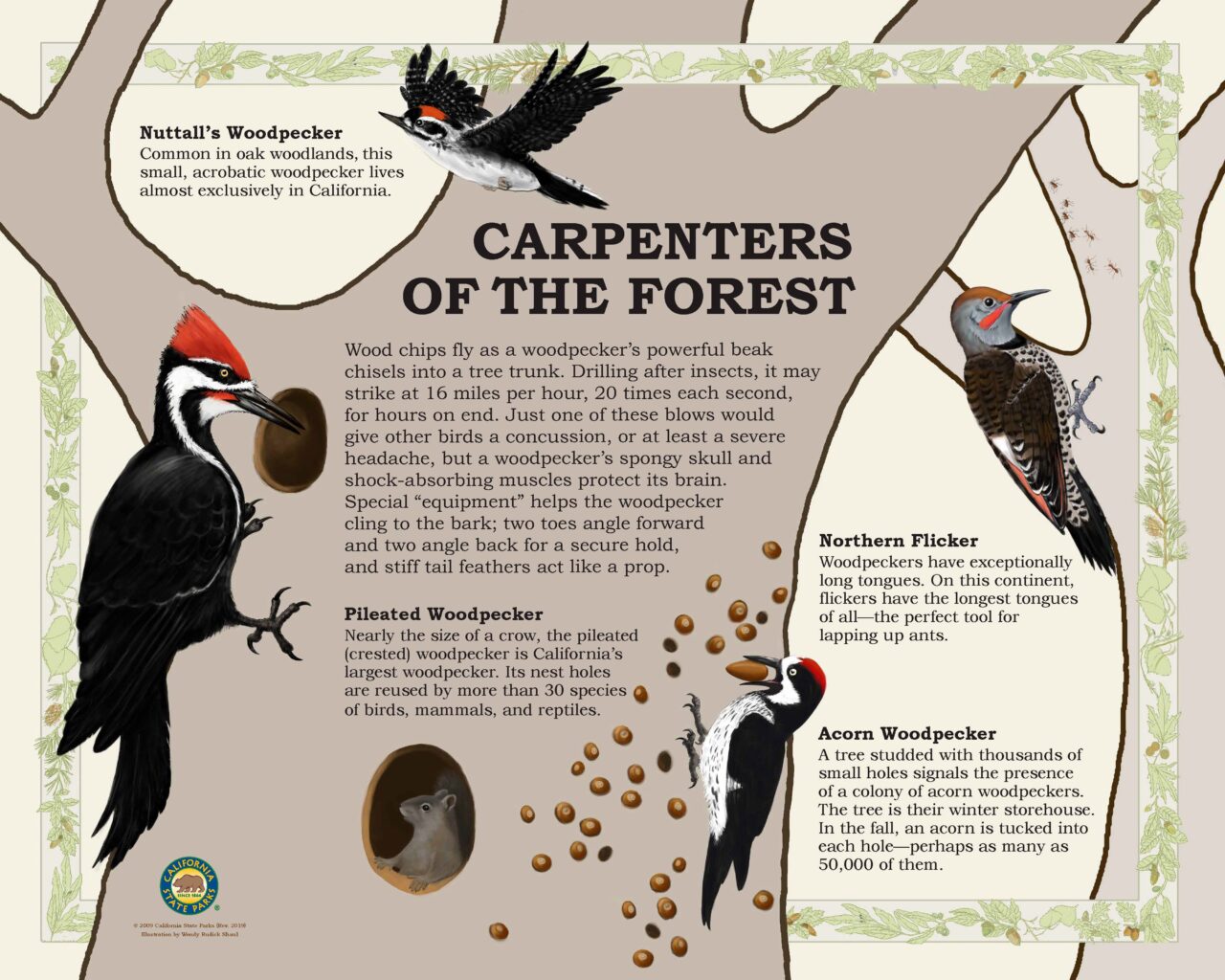 42 Woodpeckers32X40LOW2019