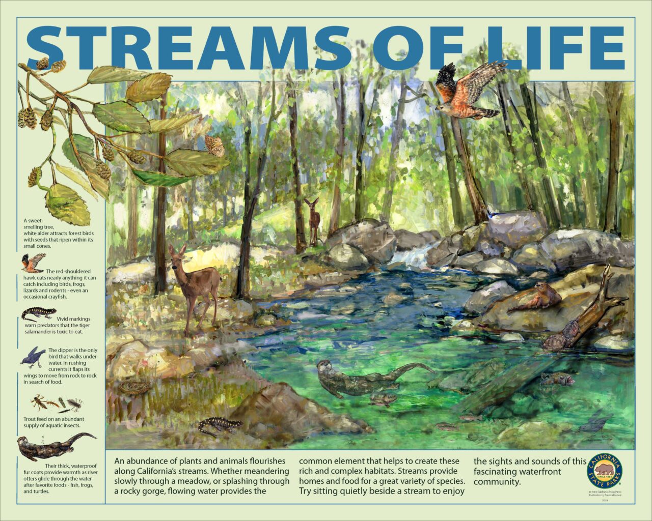 43 Stream Ecology LOW2009 32X40