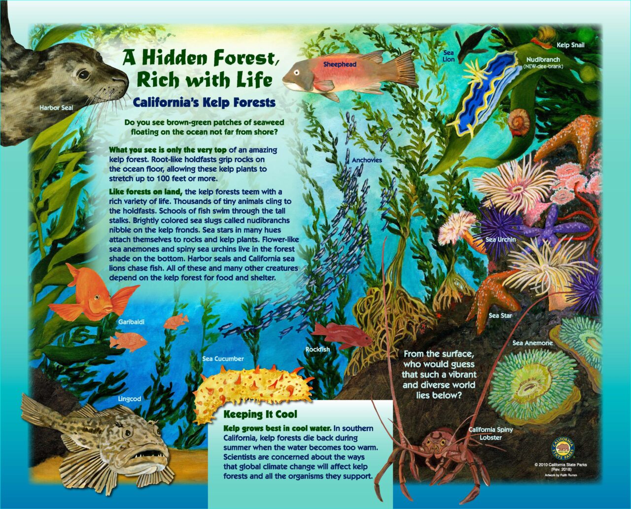 49Kelpforests32x40LOWRES2018