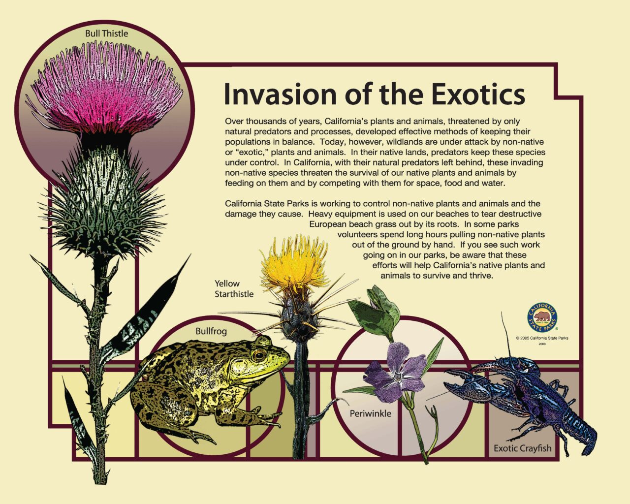 5 INVASION 40x32LOWRES2009