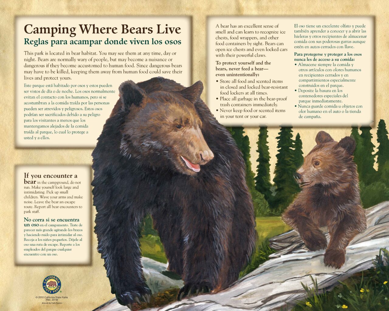 57 BearManagement32x40LOW2019