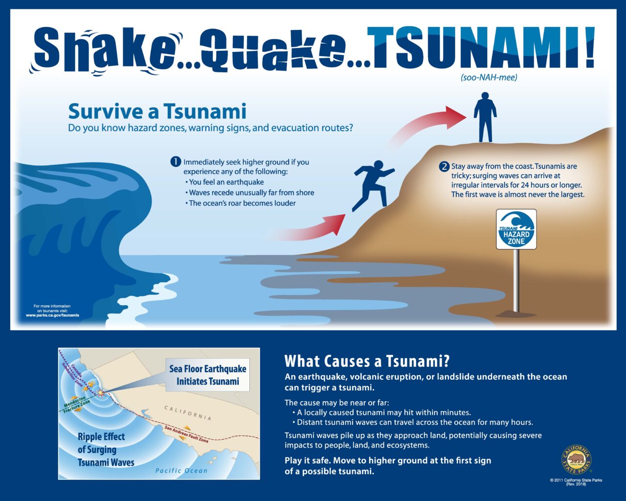 62Tsunamis32x40LowRes2018