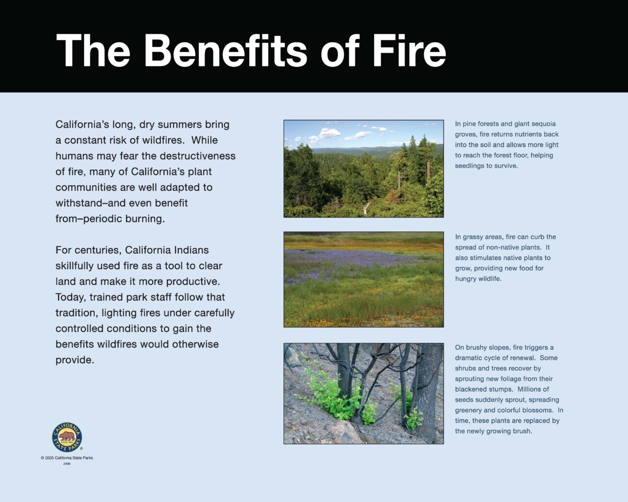 9 BENEFITS OF FIRE 32X40LOWRES2009