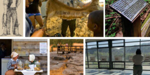 A collage of different interpretive activities: An illustration, an interpreter showing a pelt, an interpretive sign, living history, California Native American grinding rock, and a set of exhibits.