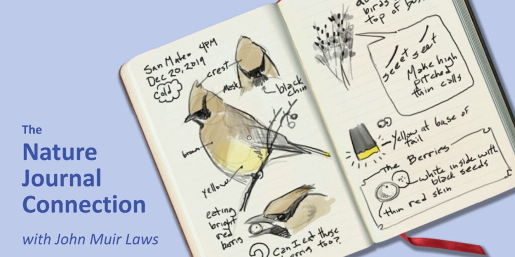 Nature Journal Connection - John Muir Laws