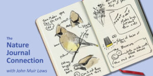 Nature Journal Connection - John Muir Laws