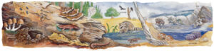 A painted illustration showing various natural "recyclers": inky cap mushroom, bark beetle, ensatina salamander, termite, carpenter ant, bacteria, earthworm, vulture, tree snag, raccoon, hermit crab, clam, sea urchin. Illustration done by J. Maddox
