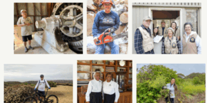 Collage of images of volunteers with California State Parks