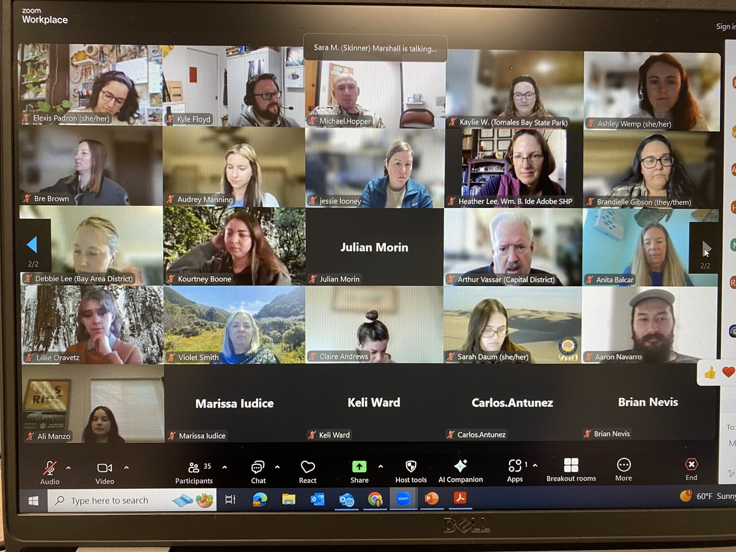 Online participants at the 2025 BIGI training Photograph of a computer screen showing a grid of participant webcam videos in a Zoom meeting.