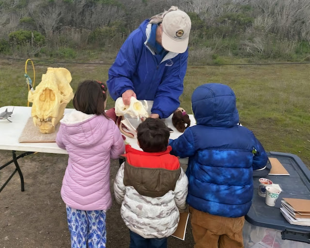 Docent demonstration for children Docent Vicki Collison leads students in a field trip rotation exploring elephant seal anatomy and behavior.