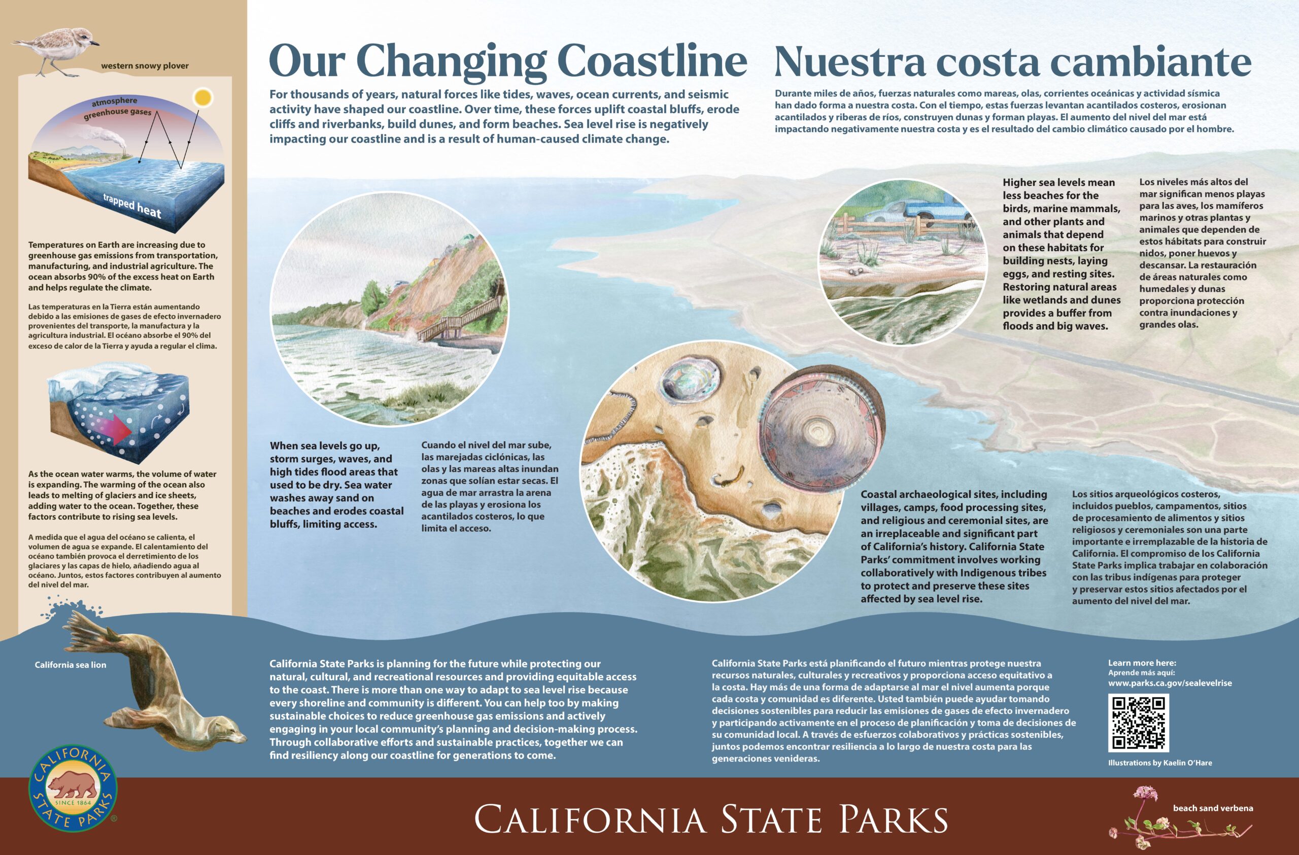 Sea Level Rise Panel, 36x24 An interpretive panel showing the effects of sea level rise.