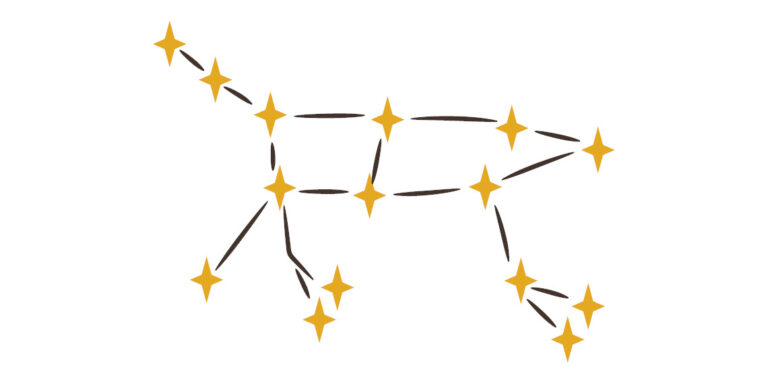 Illustration of the constellation Ursa Major