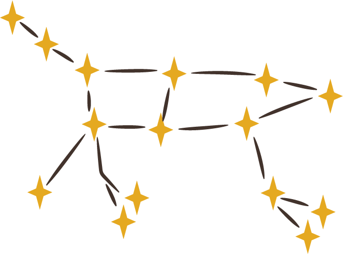 Ursa Major Illustration of the constellation Ursa Major