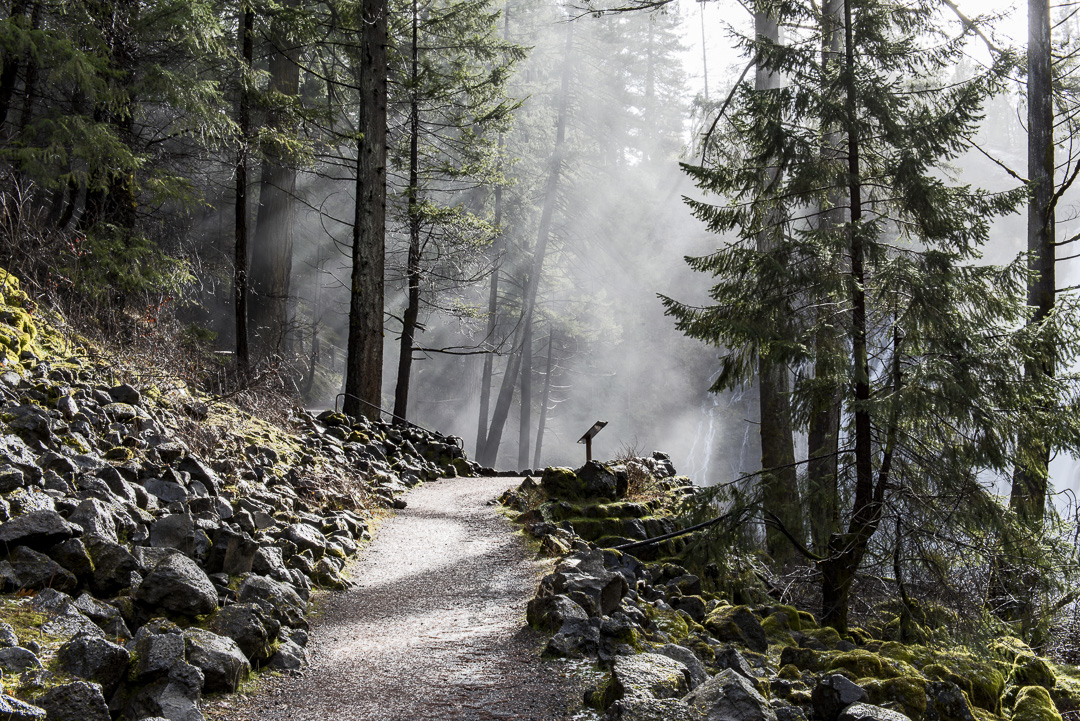 A misty forest trail at McArthur-Burney Falls Memorial State Park winds through moss-covered rocks and tall pine trees, illuminated by soft rays of sunlight.