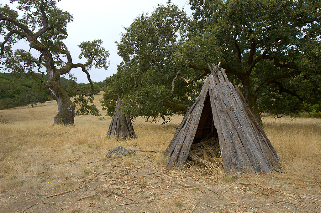 Two reconstructed Miwok kotchas stand in a dry grassy area with scattered oak trees at Olompali State Historic Park.
