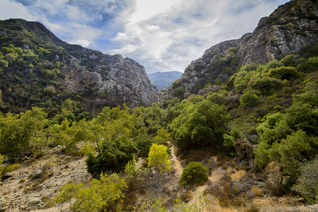 A rugged canyon trail winds through dense green vegetation and rocky cliffs in Malibu Creek State Park under a partly cloudy sky.