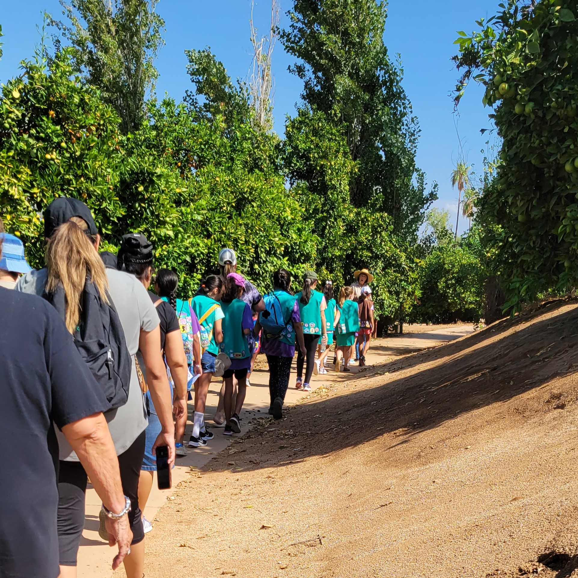 California Citrus State Historic Park A group of children and adults walk along a dirt path lined with citrus trees during a guided tour at California Citrus State Historic Park.