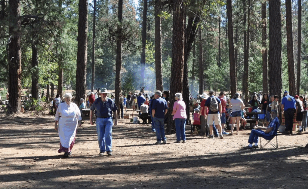 A group of people gathered in a wooded area during Heritage Days at McArthur-Burney Falls. Tall pine trees surround the scene as attendees, including families and older adults, walk around and interact near picnic tables and display booths
