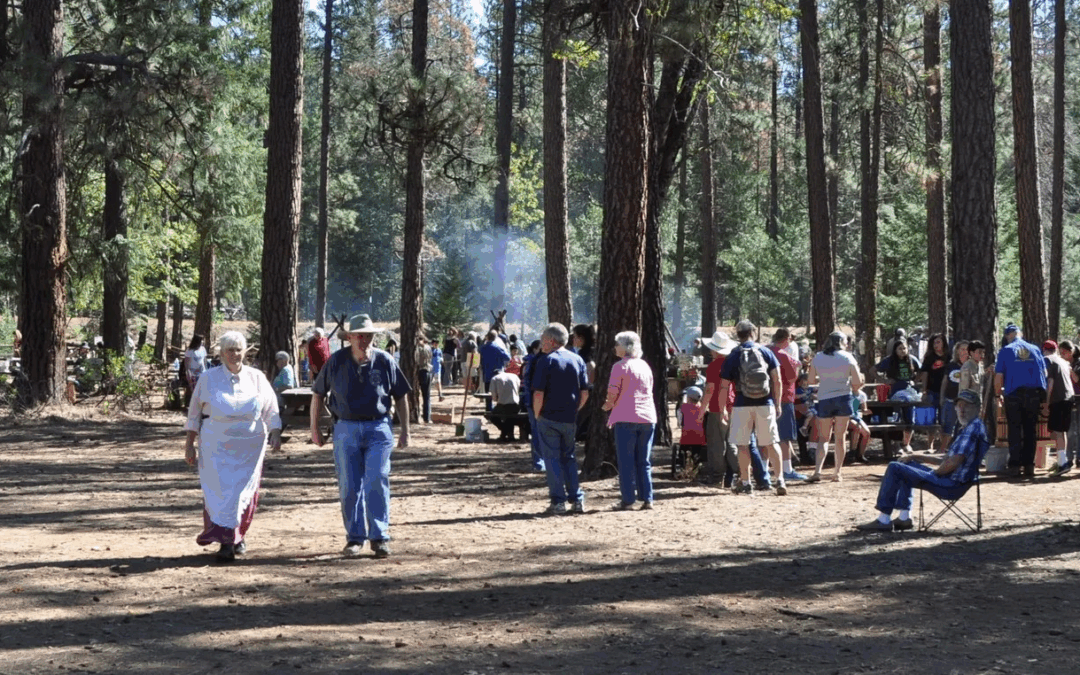 A group of people gathered in a wooded area during Heritage Days at McArthur-Burney Falls. Tall pine trees surround the scene as attendees, including families and older adults, walk around and interact near picnic tables and display booths