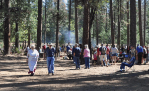 A group of people gathered in a wooded area during Heritage Days at McArthur-Burney Falls. Tall pine trees surround the scene as attendees, including families and older adults, walk around and interact near picnic tables and display booths