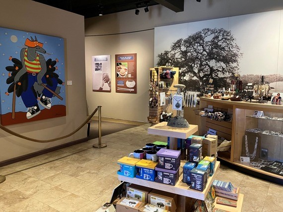 Photograph if the entry lobby and store area of the State Indian Museum with the two new NAGPRA panels visible on the far wall at the entrance to the main gallery space. To the left is a large painting of a coyote dressed in a coimbination of traditional dance regalia and 1980s style urban streetwear. To the right are various display shelves and concession counters dedicated to the museum store.