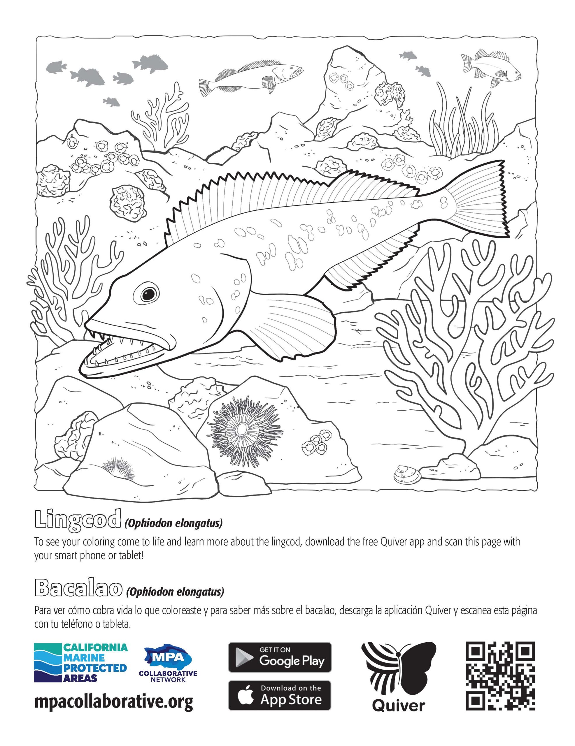 AquaSmart Activity Booklet 07-Look Before you Leap