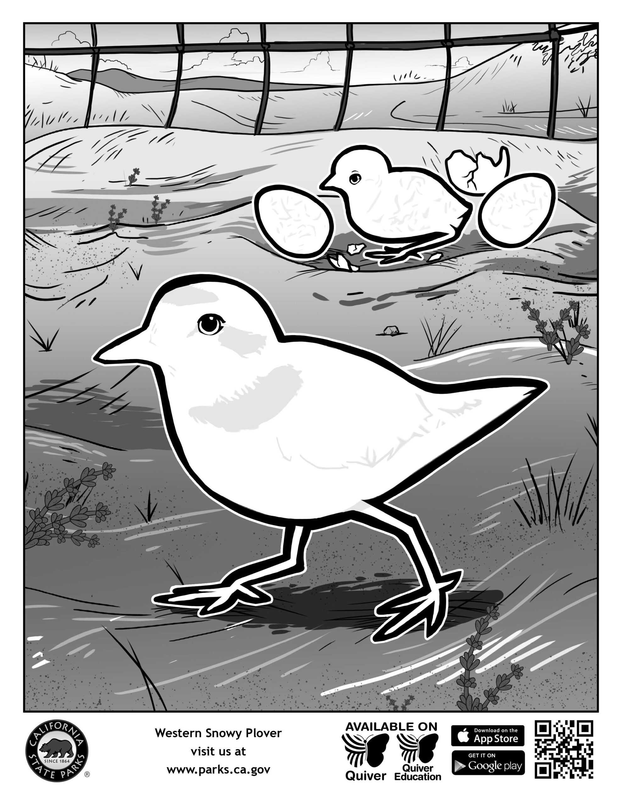 AquaSmart Activity Booklet 03-Learn to Swim