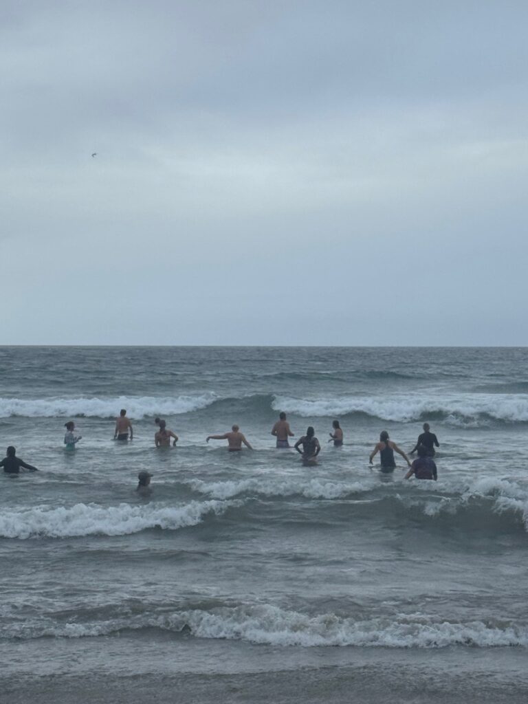 Photograph of a dozen people wading into the surf under gray skies.