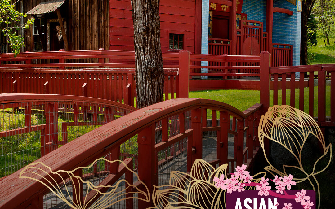 A photograph of a the Weaverville Joss house. A red wooden bridge with railings curves through the foreground, surrounded by green grass and tall trees. Decorative floral graphics overlay the bottom-right corner, framing a purple box with the text “Asian American & Pacific Islander Heritage Month.” The floral designs include gold line art flowers and pastel-colored blossoms