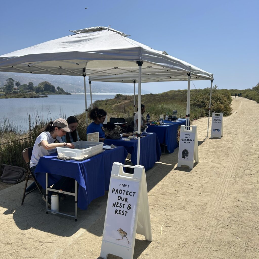 CA State Parks staff and volunteers at tables under popup covers at Malibu Lagoon State Beach