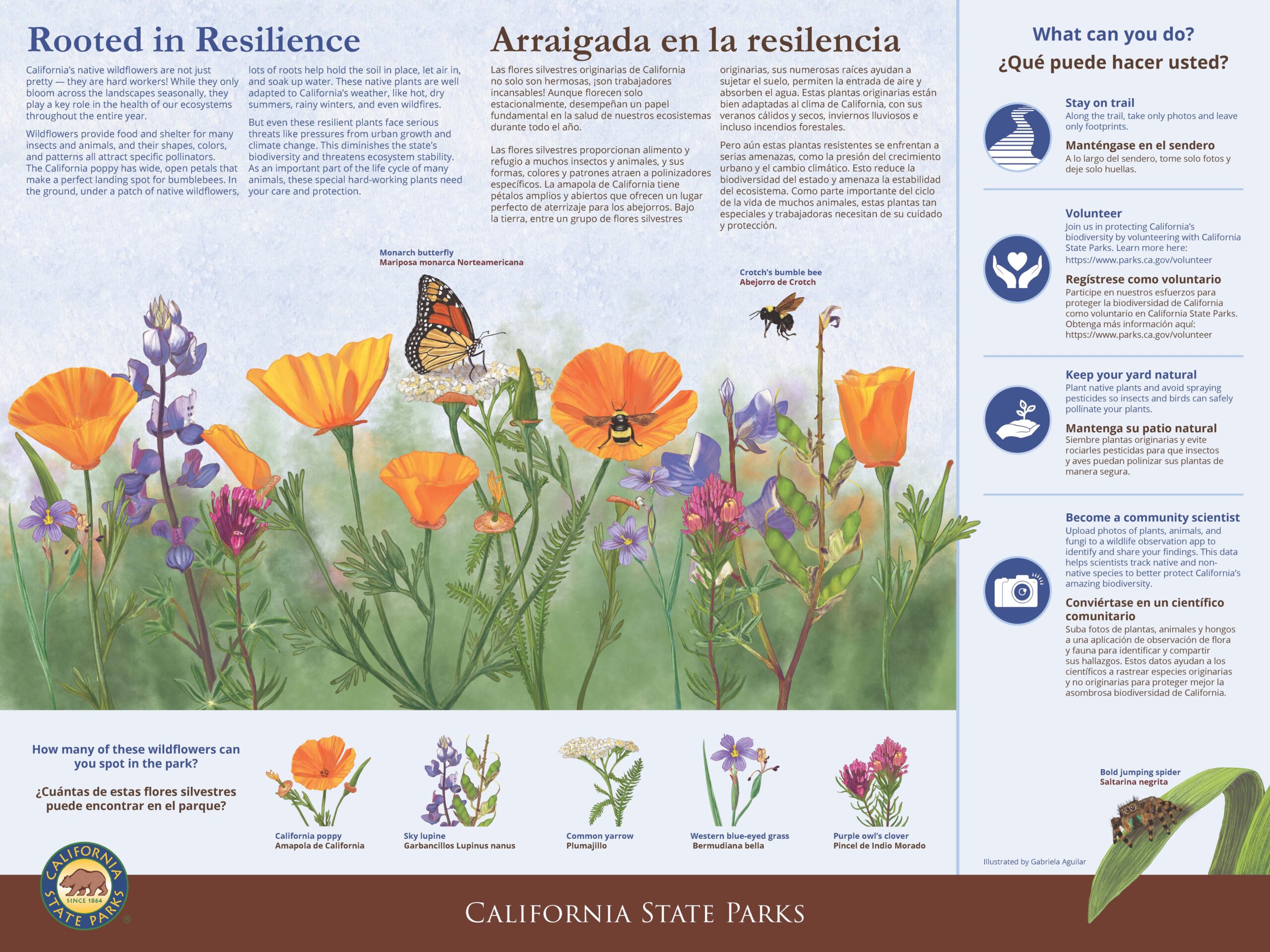 Collage of the covers of the following three books: "The Serivceberry," "The Art of Relevance," and "California: An American History"