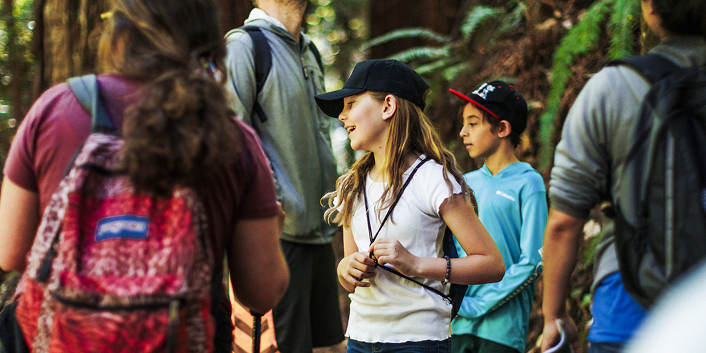 A group of fourth grade students and adults are enjoying the redwoods